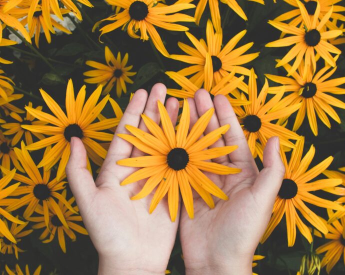 Close-up of hands holding vibrant yellow daisies, showcasing natural beauty and floral pattern.