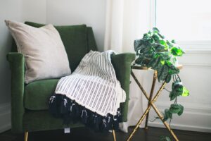 chair, home, room, plant, ivy, interior, table, blanket, pillow, curtain, nature, clean, drapes, silver satin ivy, still life